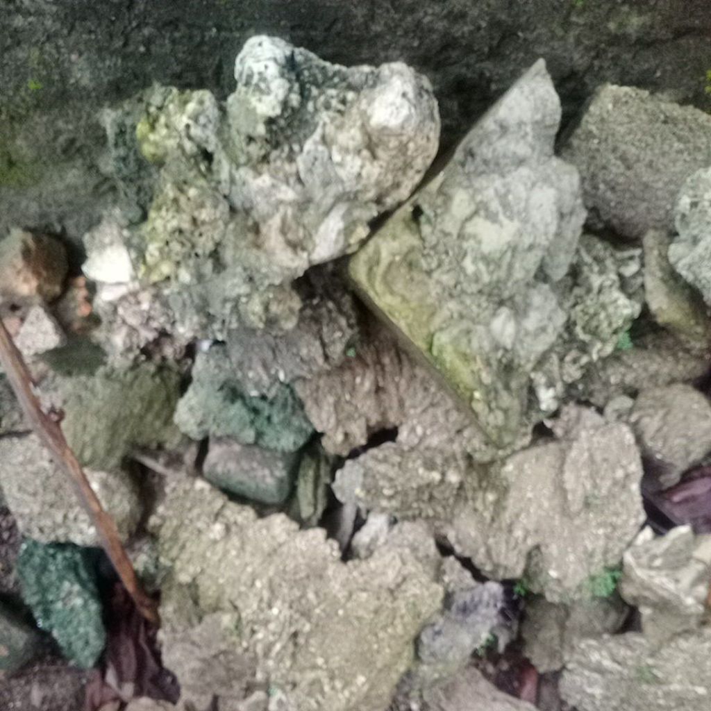 batu karang laut besar