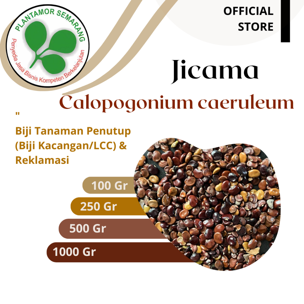 Benih CC Calopogonium Caeruleum / Benih LCC / Kemasan 100 - 1000 gr