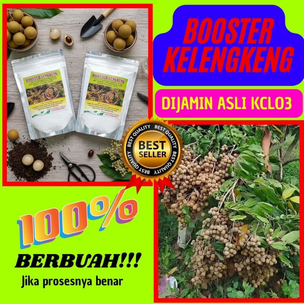 Booster Kelengkeng Kclo3