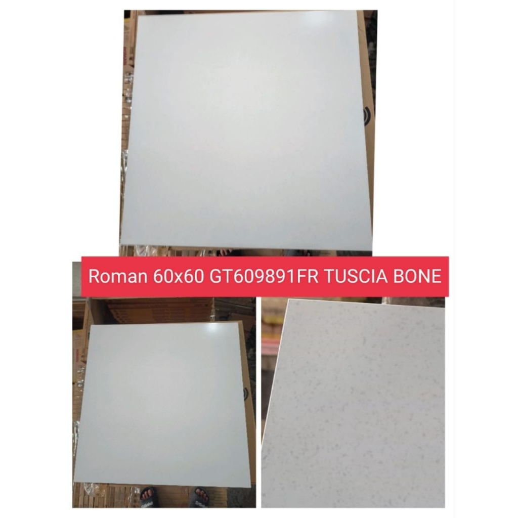 Roman Granit 60x60 Lantai Cream Glossy / GT609891FR DTUSCIABONE