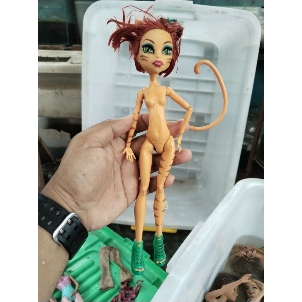 2011 Monster High Doll TORALEI STRIPE First Wave NUDE