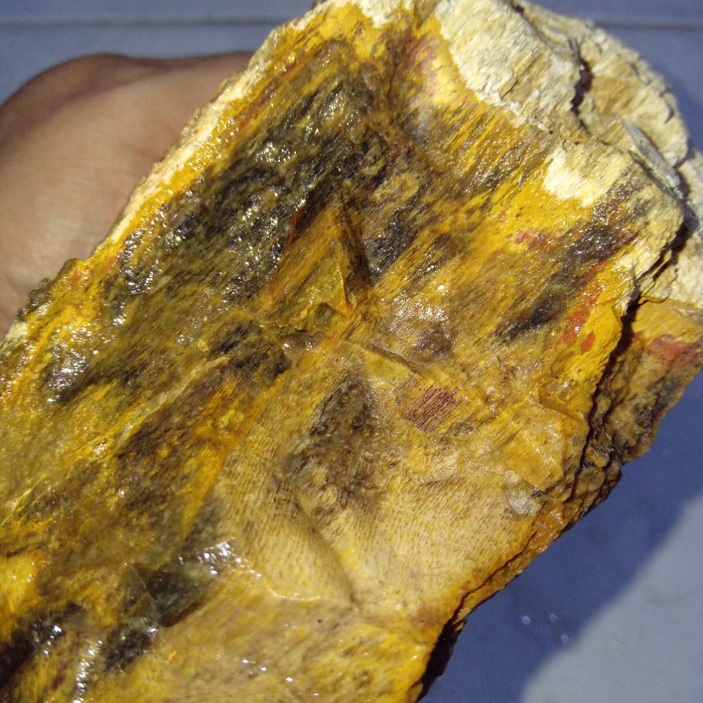 Natural Batu Akik F0SiL Kayu Motif Belang Macan Harimau Asli Indonesia