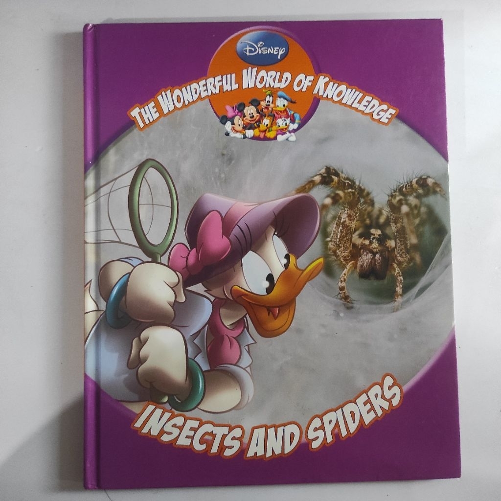 the wonderful world of knowledge insect