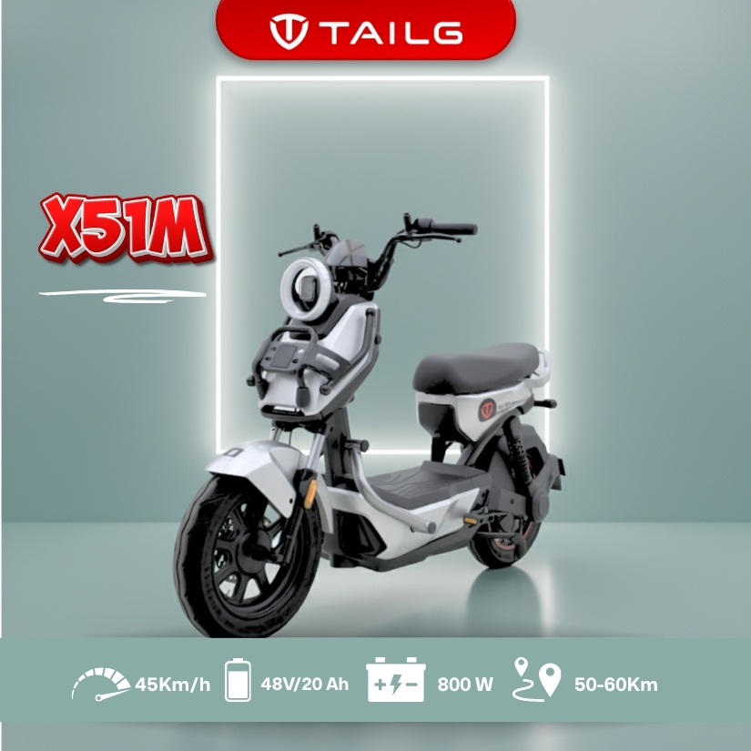 Tailg X51M Sepeda Listrik 800W 45km/h