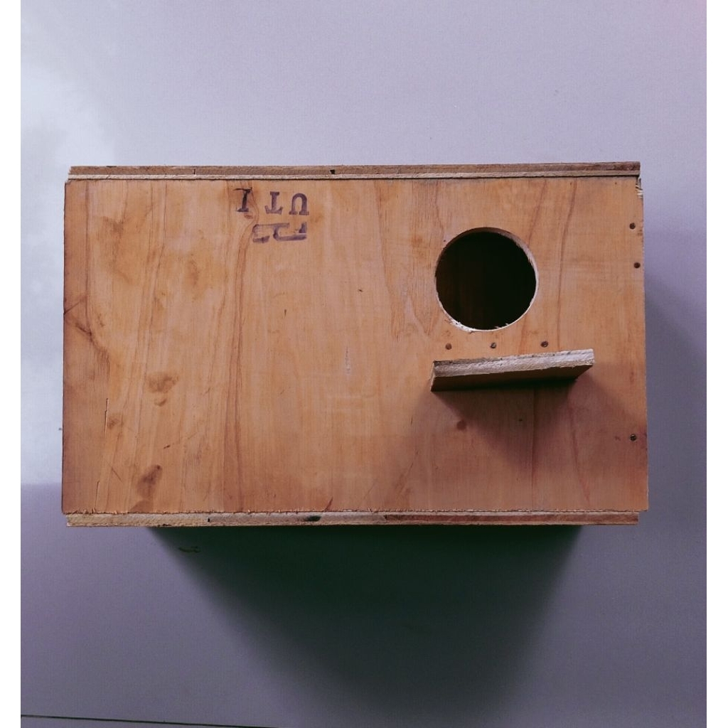 box tempat bertelur / gelodok burung falk parkit australia sunconure
