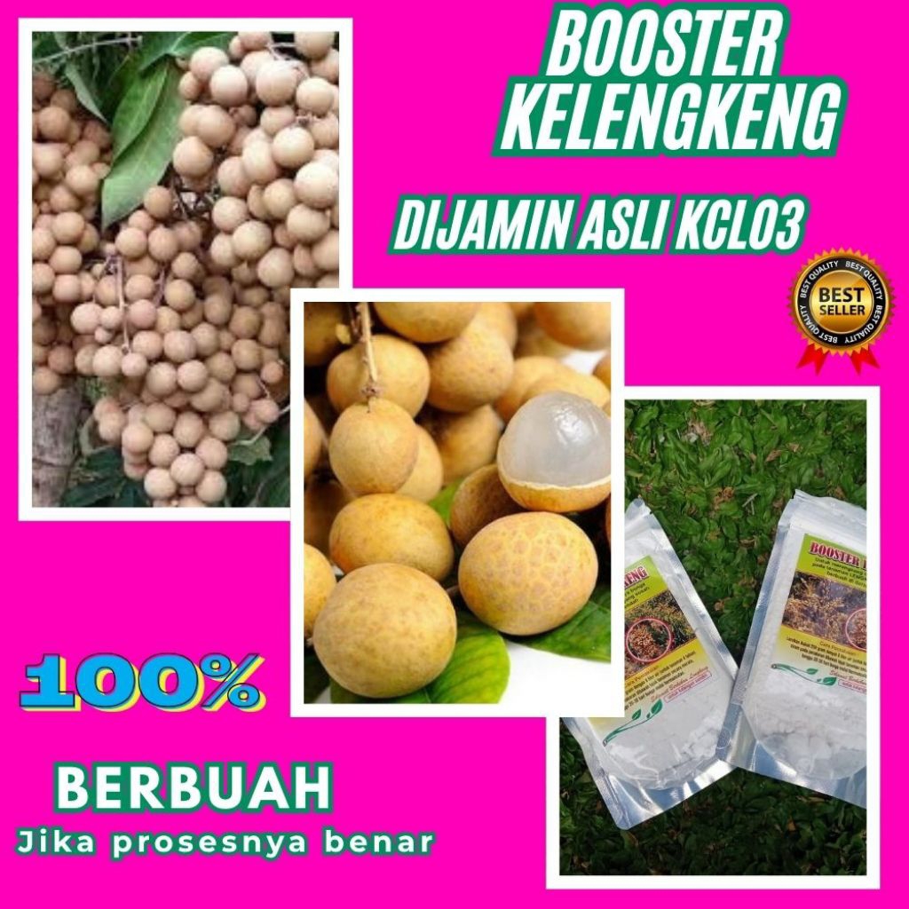 Pupuk Kelengkeng Kclo3, Pupuk Kelengkeng Merah