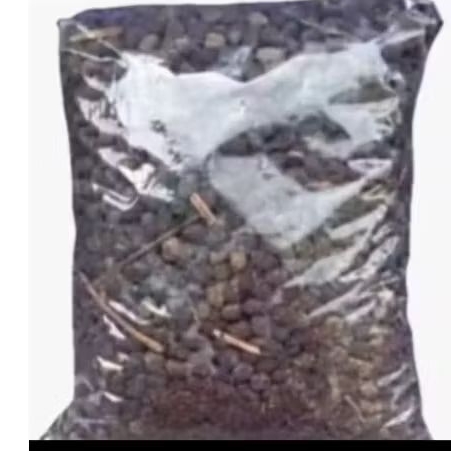 kohe kambing utuh fermentasi