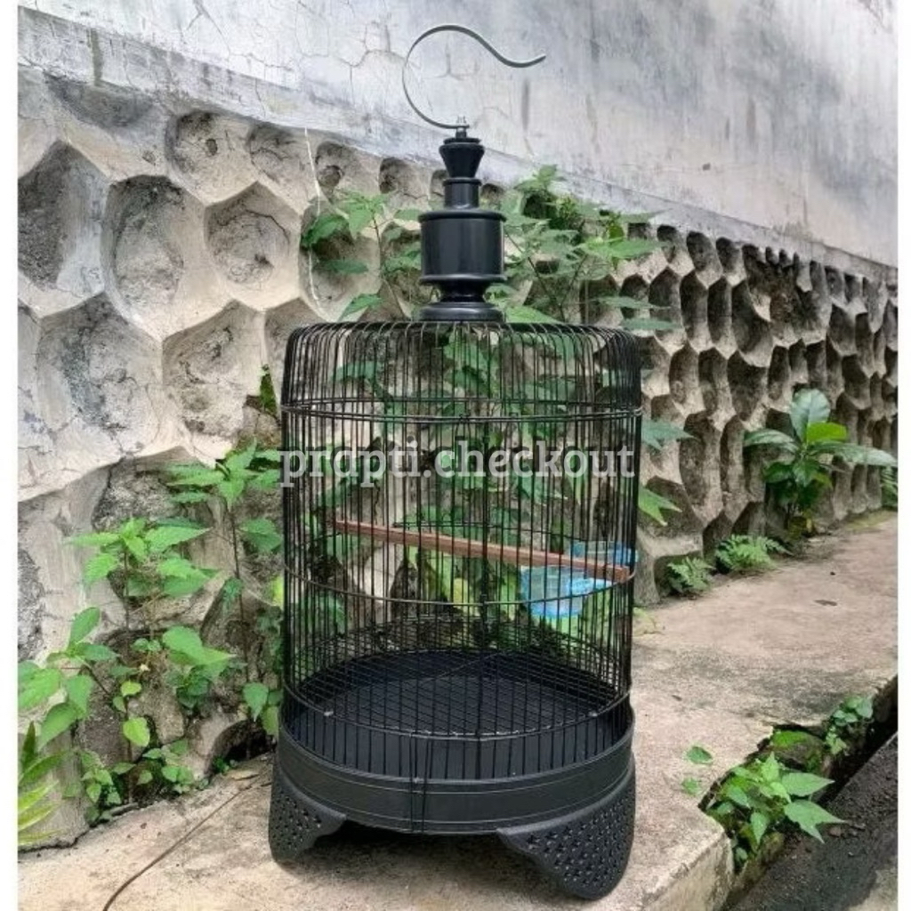 Sangkar Lovebird Tanggung Fullset Kandang Burung Love Bird Lb Pendek Lengkap Gantungan Pion Cepuk Ta