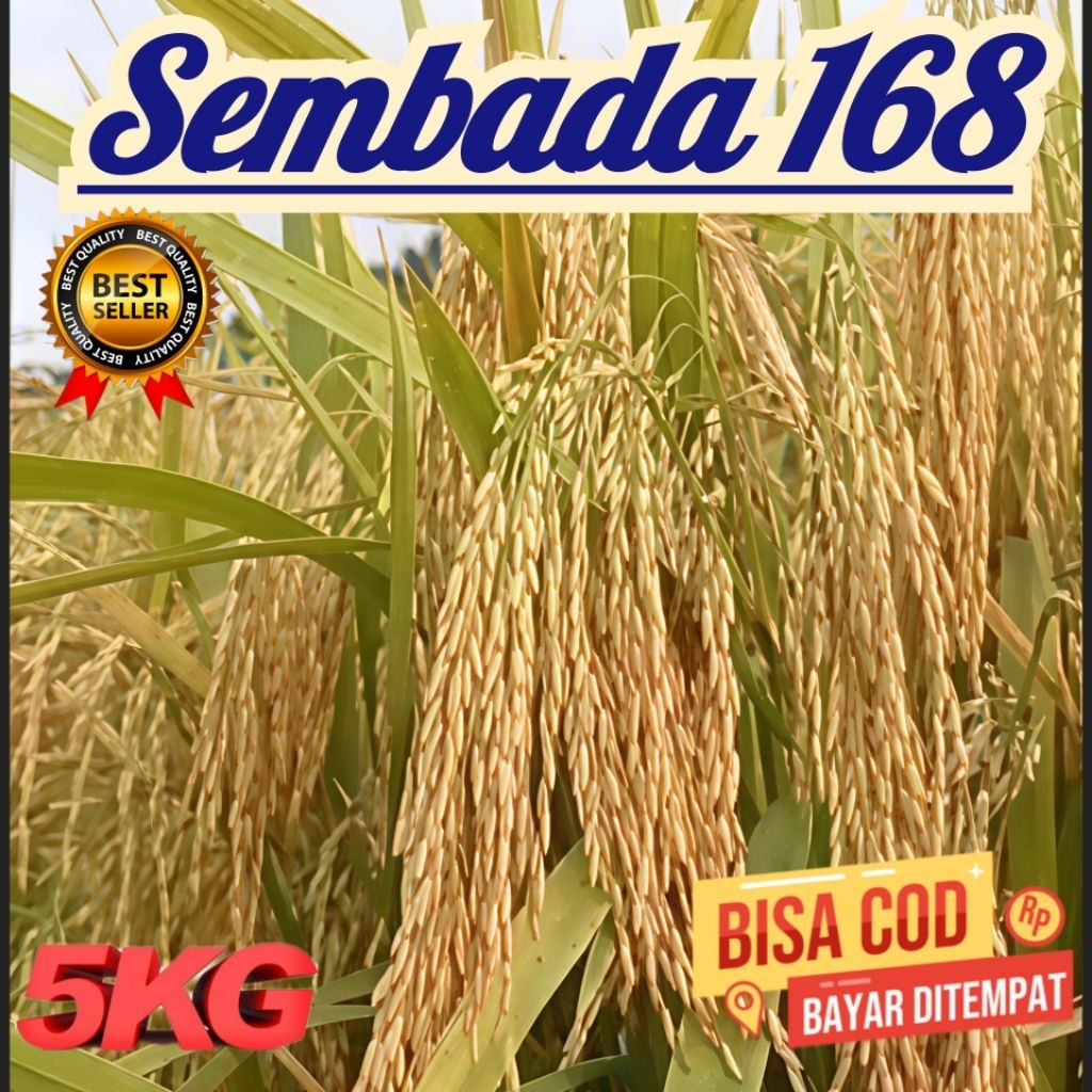 Bibit benih padi Sembada 168 kemasan 5kg