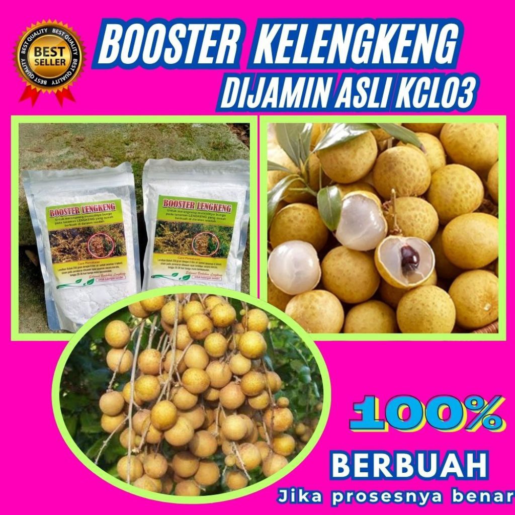 Pupuk Kelengkeng Kclo3, Pupuk Kelengkeng Merah, Pupuk Kelengkeng New Kristal