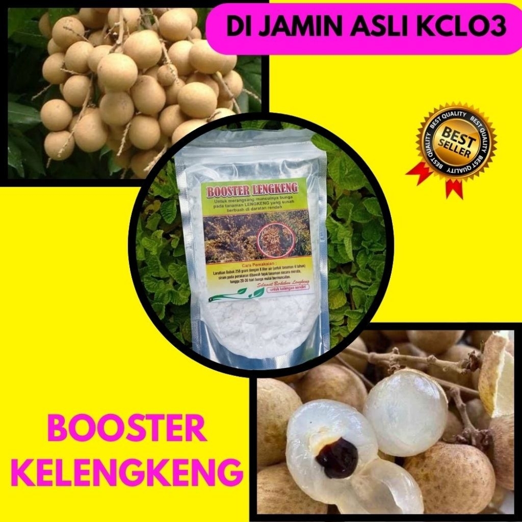 Booster Kelengkeng Serbuk, Booster Kelengkeng Terbaik, Booster Kelengkeng Terdekat