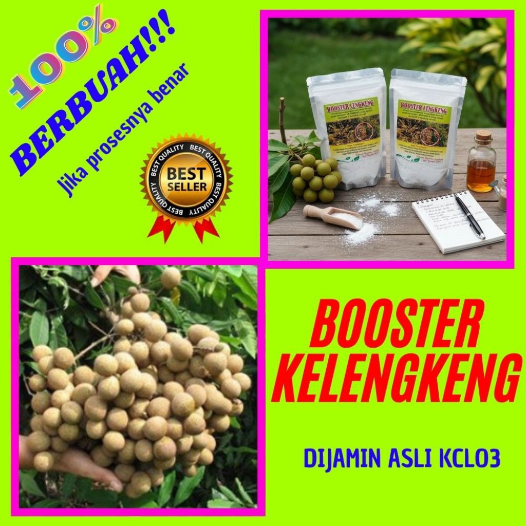 Booster Kelengkeng Terbaik, Booster Kelengkeng Terdekat, Booster Kelengkeng Untuk Mercon