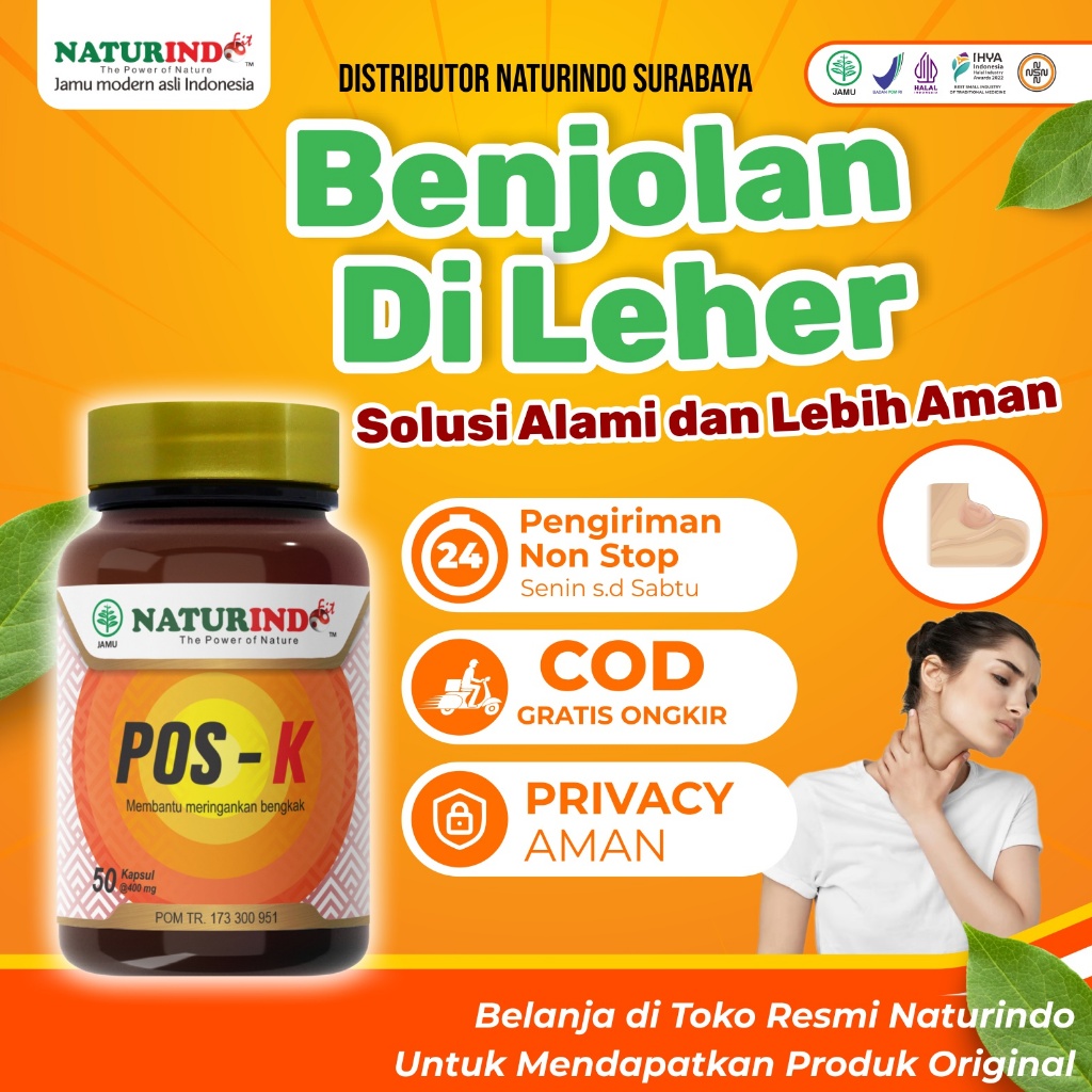 OBAT GONDOK HERBAL HIPERTIROID GONDONGAN PEMBENGKAKAN KELENJAR TIROID HERBAL BENJOLAN TANPA OPERASI 