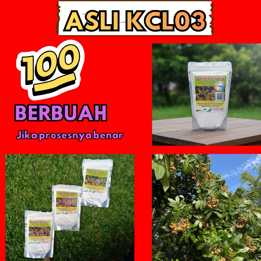 Booster Kelengkeng Yang Bagus, Booster Kelengkeng 1Kg