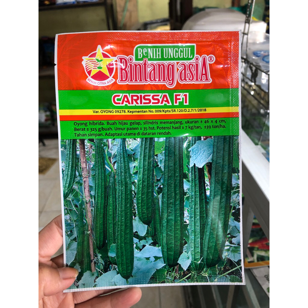 benih oyong/gambas Carissa F1 10gr-bintang asia