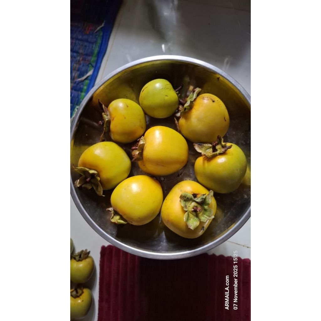 Kesemek / Buah Genit / Persimmon Segar 1 Kg – Manis, Fresh, Siap Panen