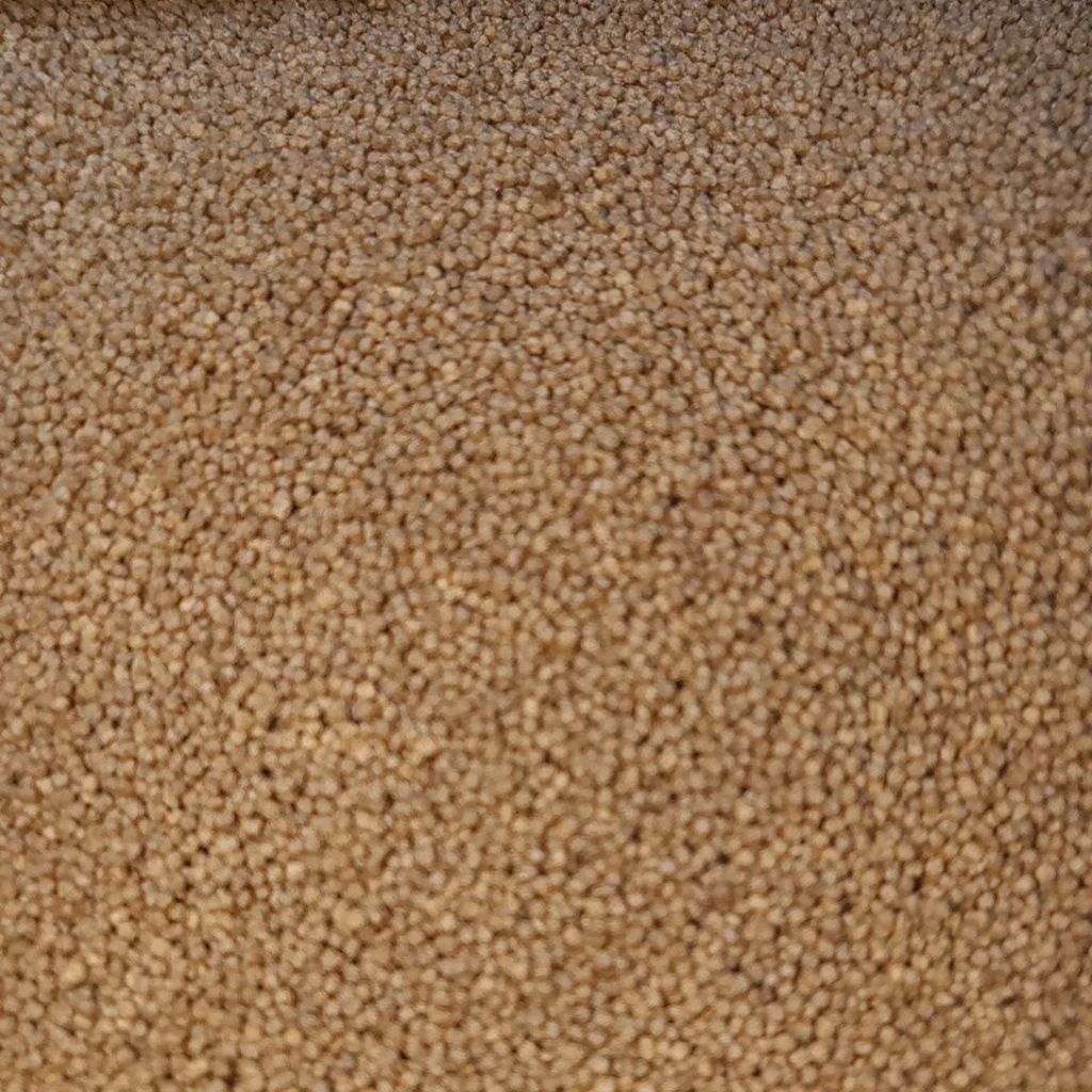 pelet ikan cupang,guppy,glowfish,molly,platy