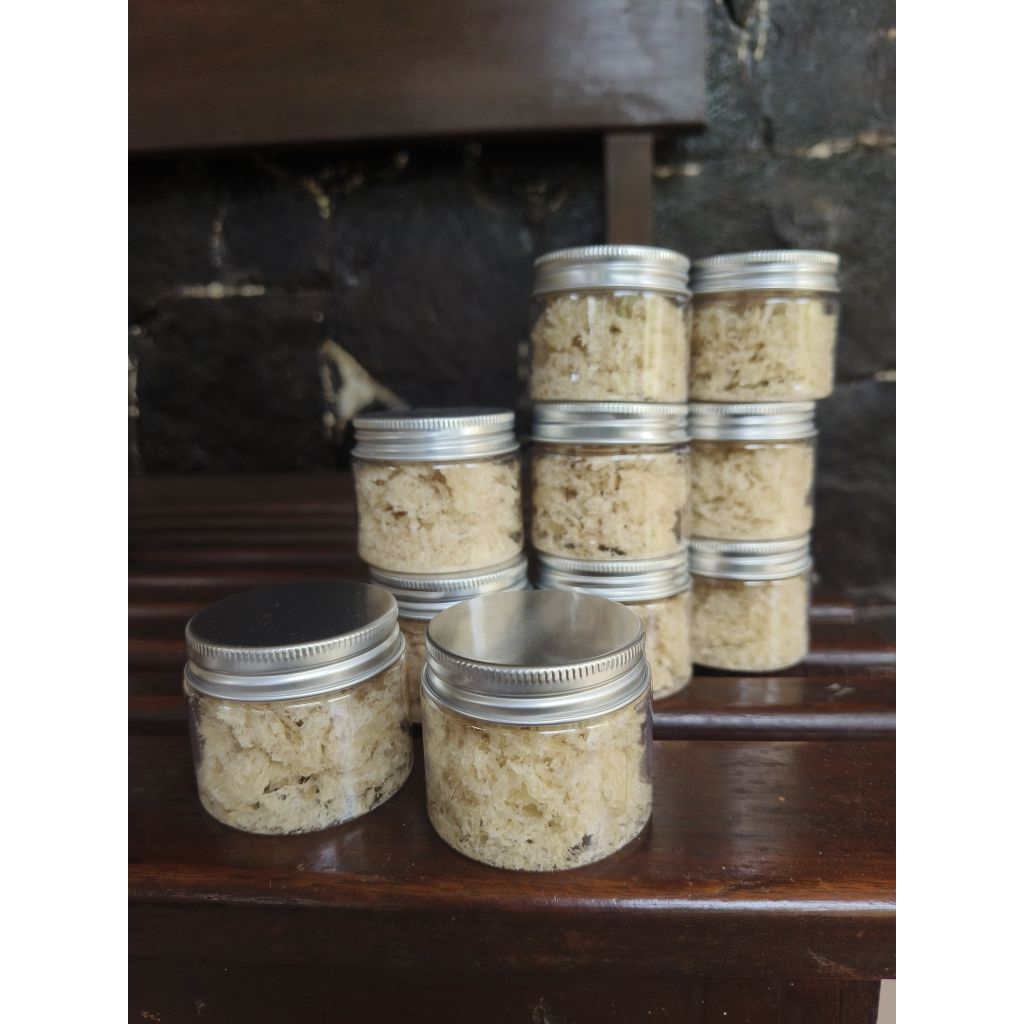 sarang burung walet hancuran