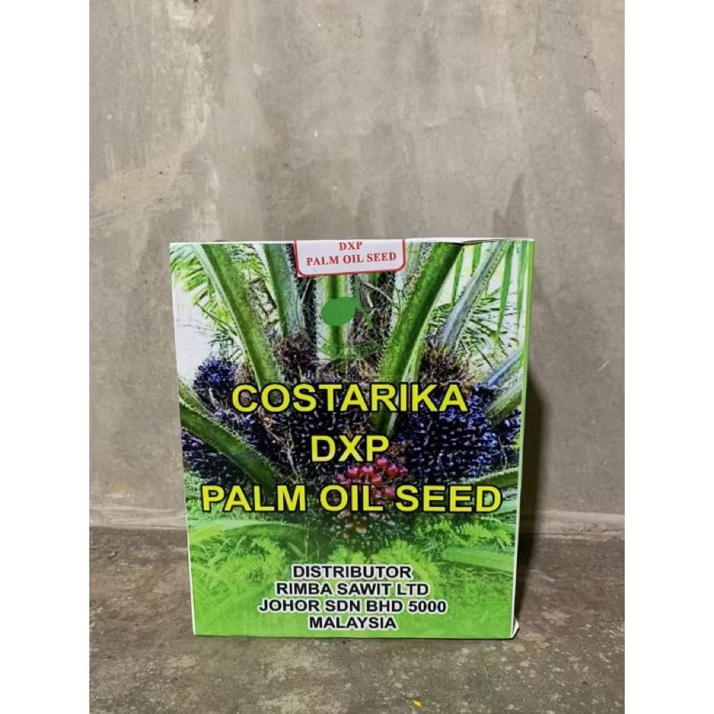 KECAMBAH SAWIT COSTARIKA ASLI MALAYSIA  (BERSERTIFIKAT) ISI 250 butir