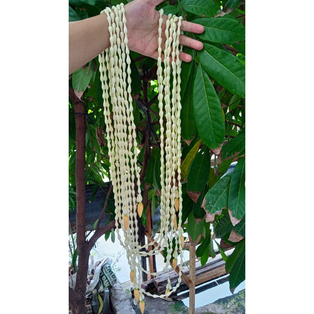 MELATI DEKORASI MELATI IMITASI PREMIUM MELATI PALSU PENGANTIN