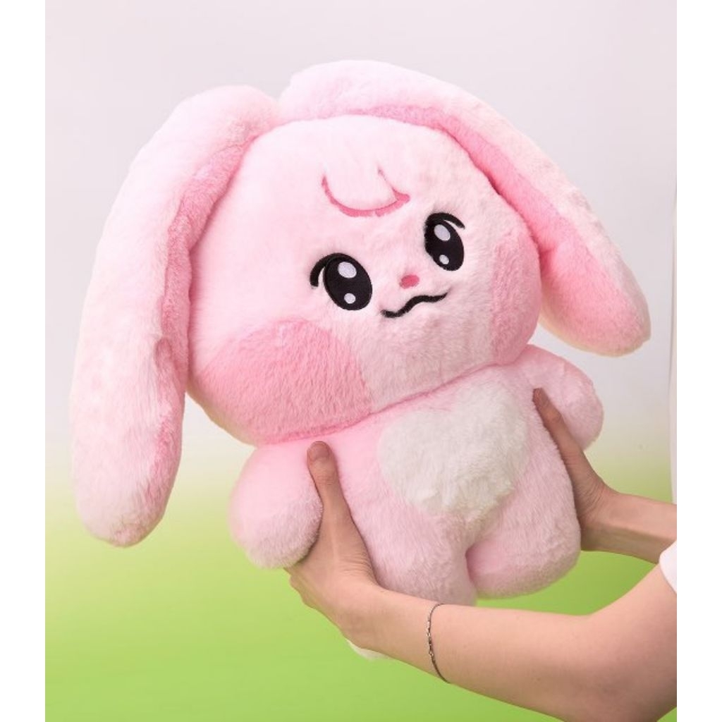 [READY STOCK] BIG FLAT CUSHION KKYUPING 40CM DREAMIEZ FOREST LINE POP-UP DOLL JAEMIN NCT DREAM