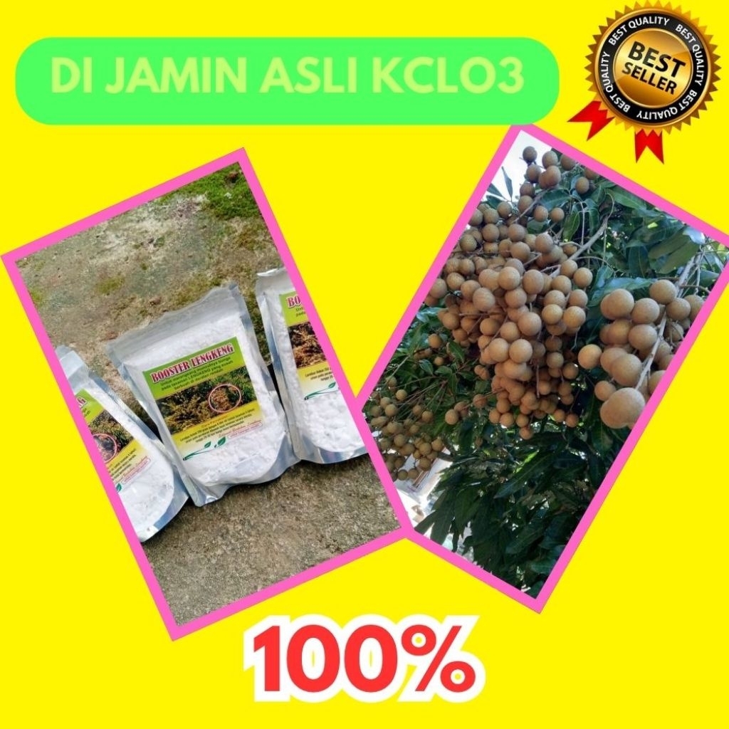 Boster Kelengkeng Serbuk, Boster Kelengkeng Terbaik, Boster Kelengkeng Terdekat