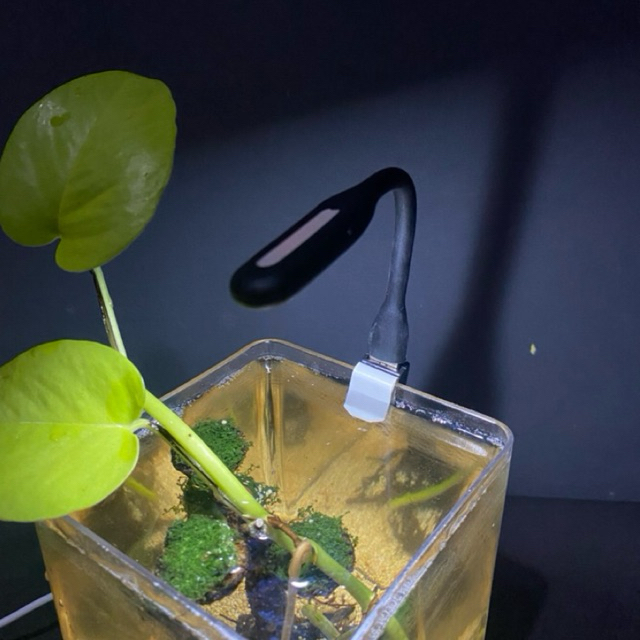 Lampu Aquarium USB Portable