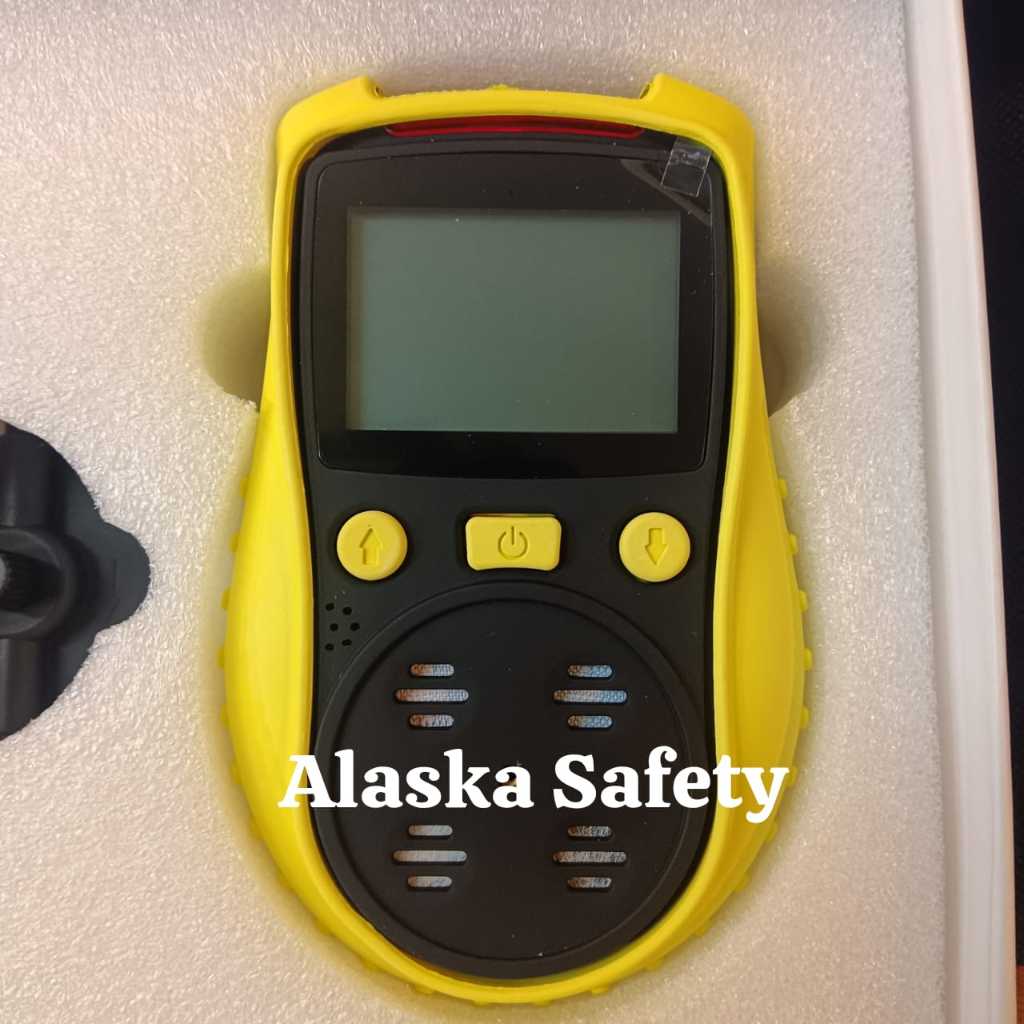 Gaslux NP Portable | Multi Gas Detector Portable