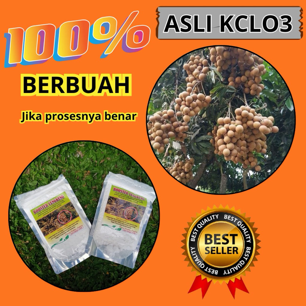 Boster Kelengkeng Kristal, Boster Kelengkeng Murni, Boster Kelengkeng New Kristal