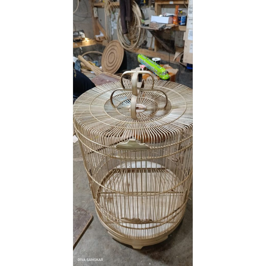 ambrukan sangkar murai ruji atas rapat