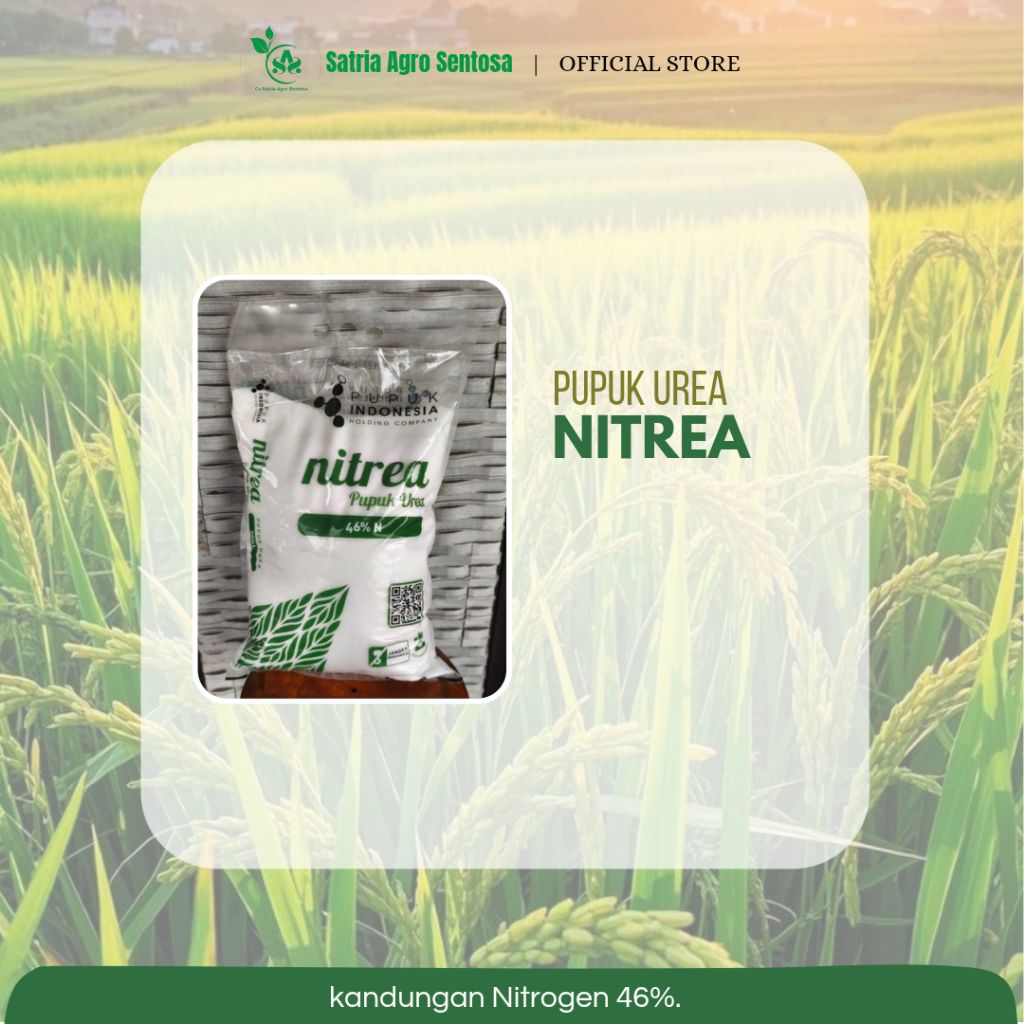 PUPUK UREA NITREA-5KG