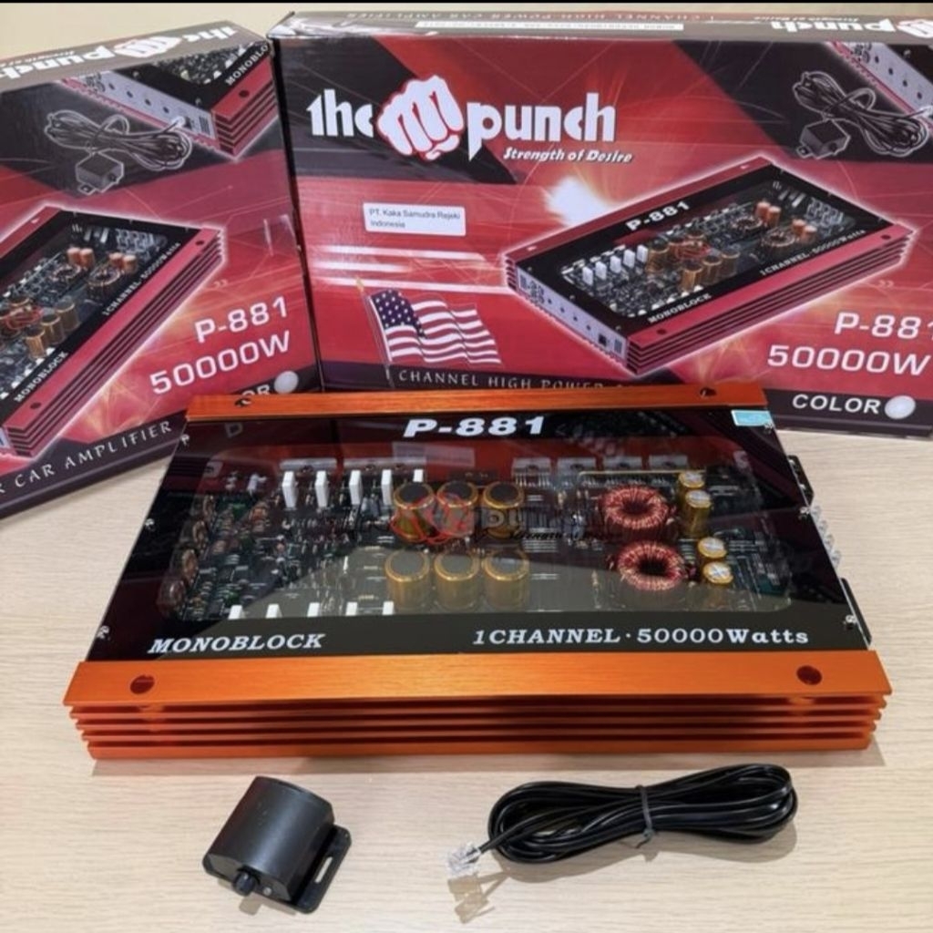 Power Monoblok THE PUNCH P881 Monoblock Amplifier THE PUNCH P881
