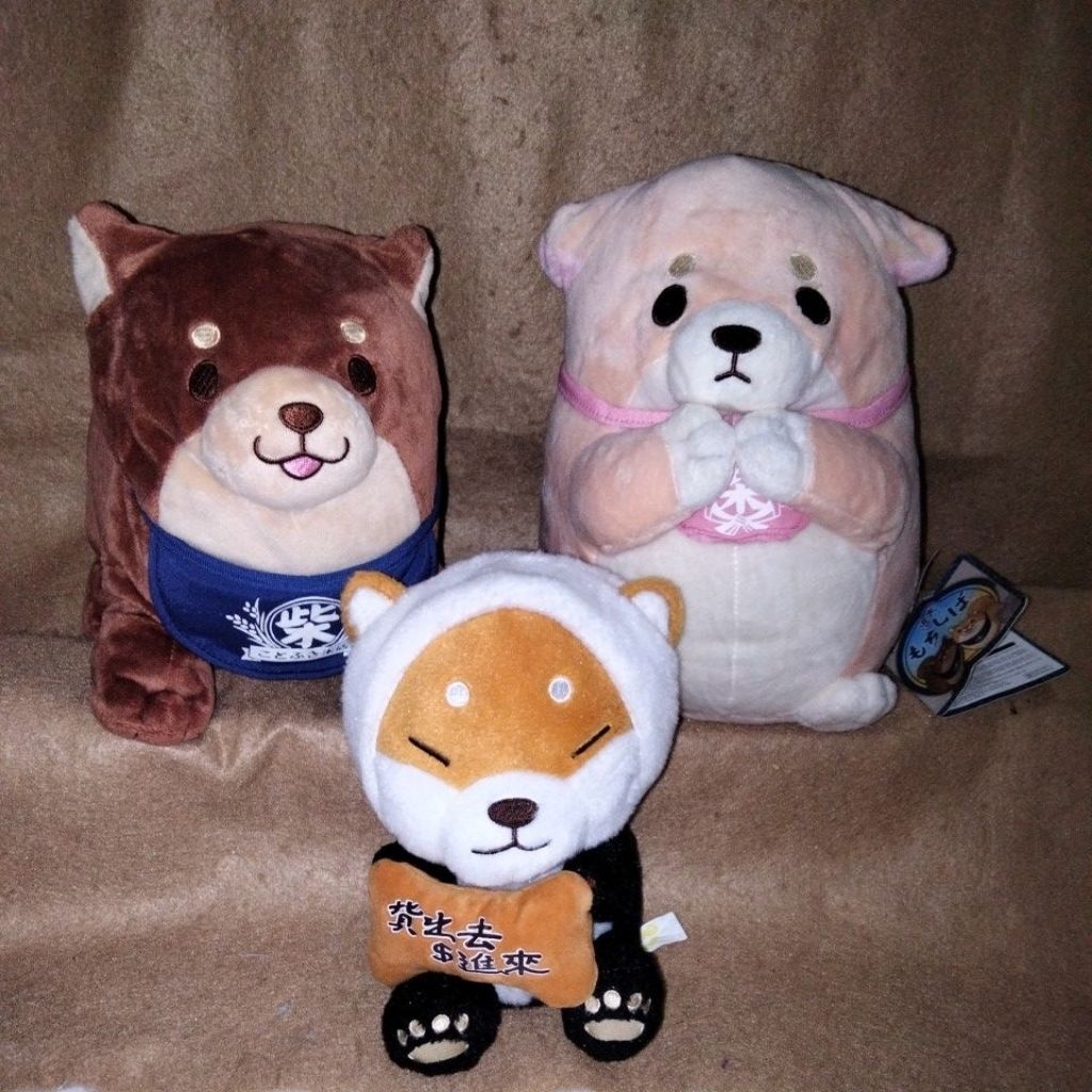 Shiba SK Japan, shiba kostum panda