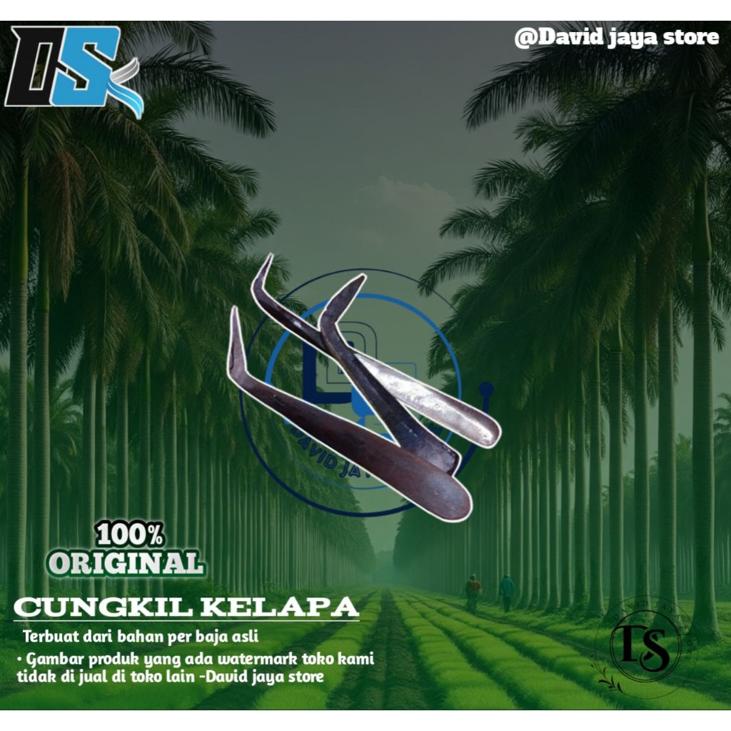 Alat Kupas Kelapa / Cungkil Kelapa