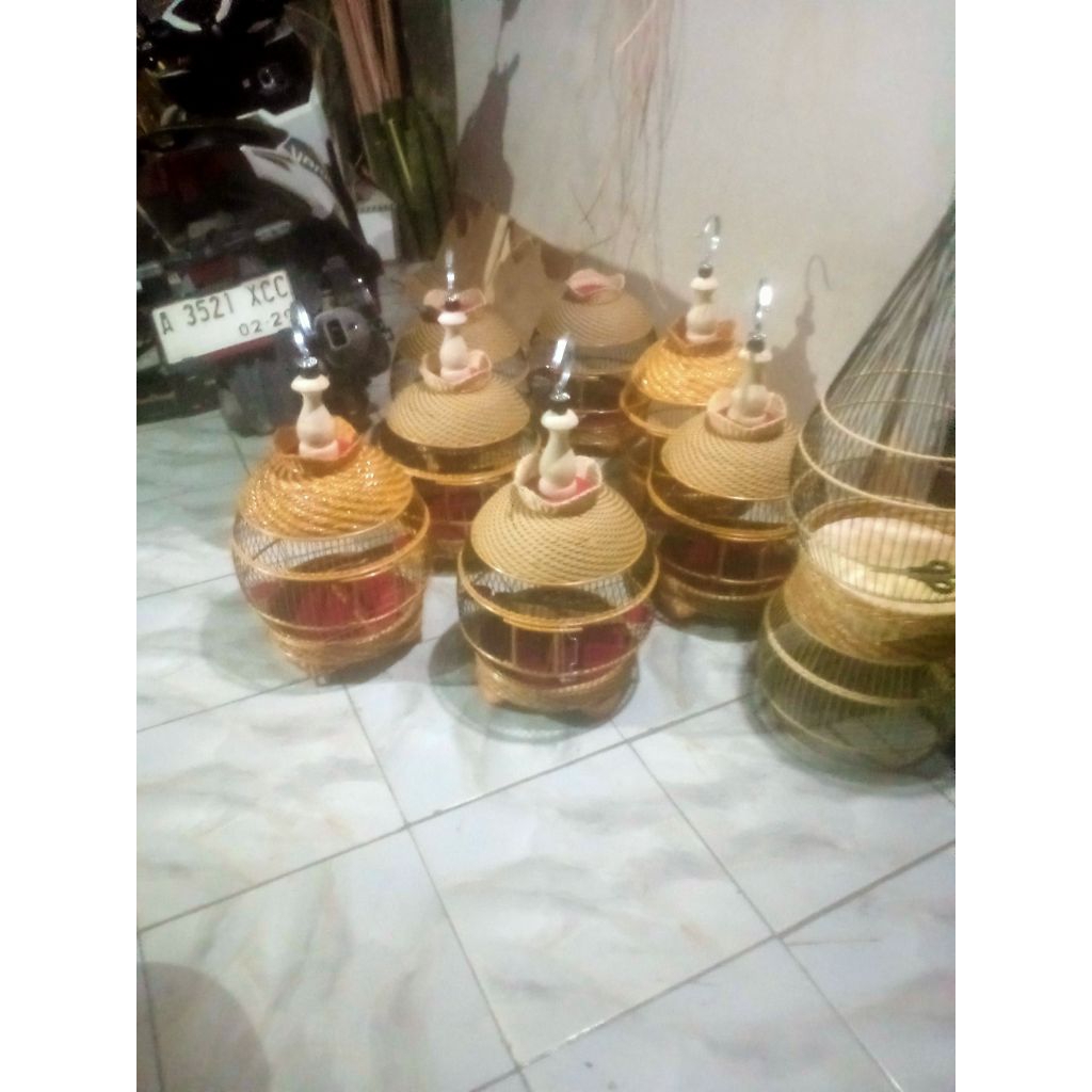 sangkar perkutut minion