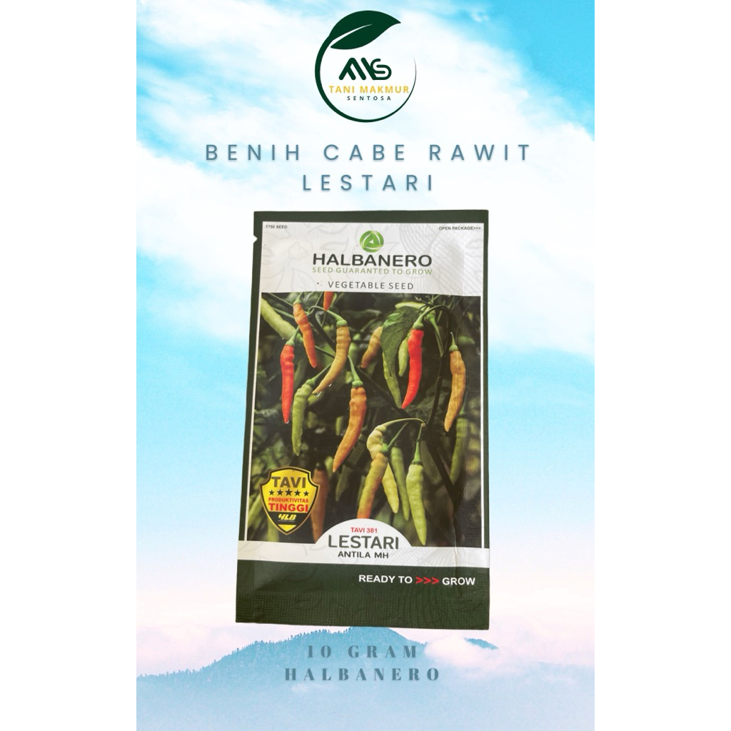 Benih Cabe Rawit LESTARI (Halbanero) 10 gram