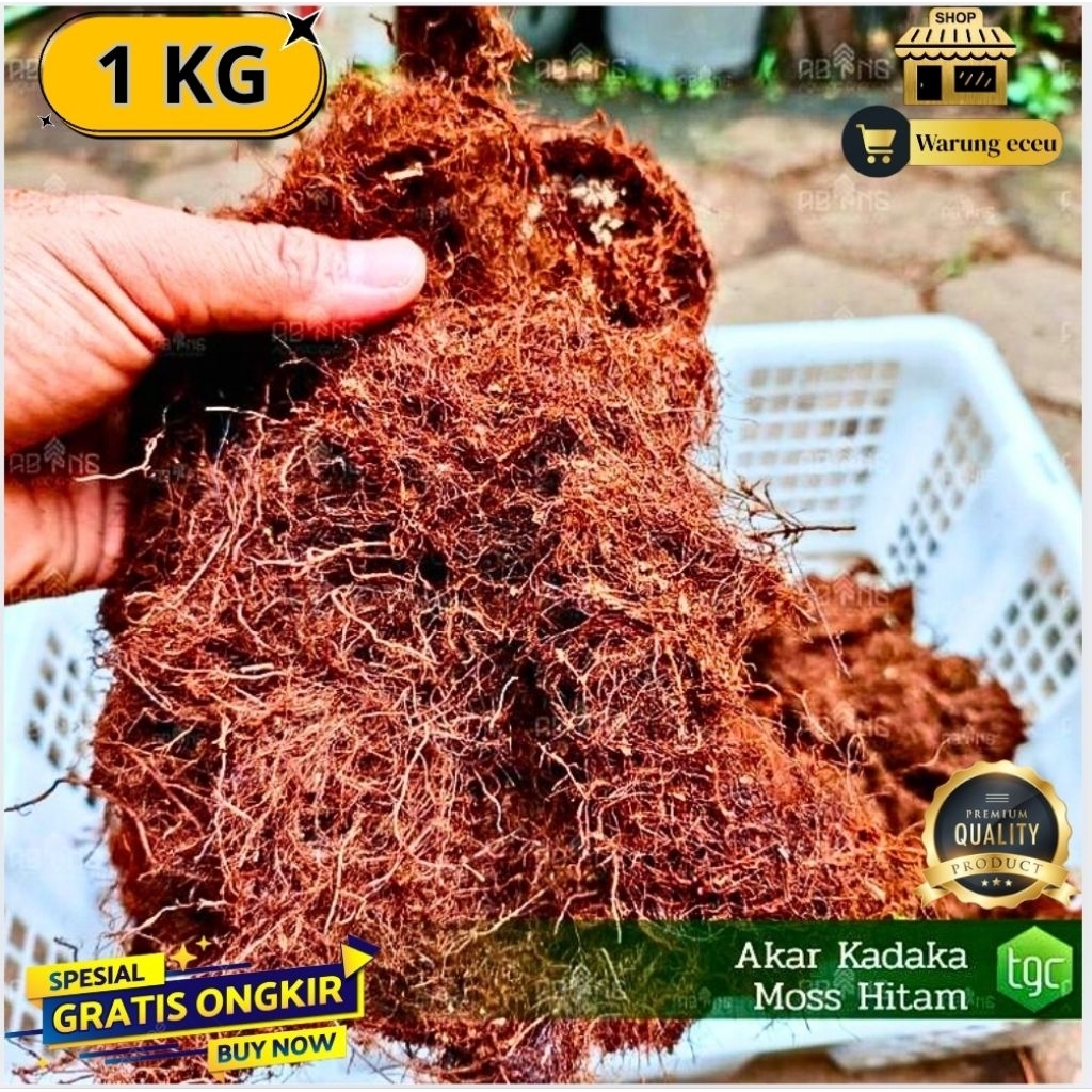 Akar Kadaka Moss Hitam Asli 1 KG Bersih Siap Pakai | Media Tanam Anggrek / Bonsai / Hiasan Pot