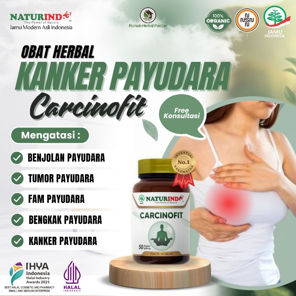 CARCINOFIT OBAT KANKER PAYUDARA TANPA OPERASI  BENJOLAN PAYUDARA TUMOR PAYUDARA KANKER PAYUDARA PRIA