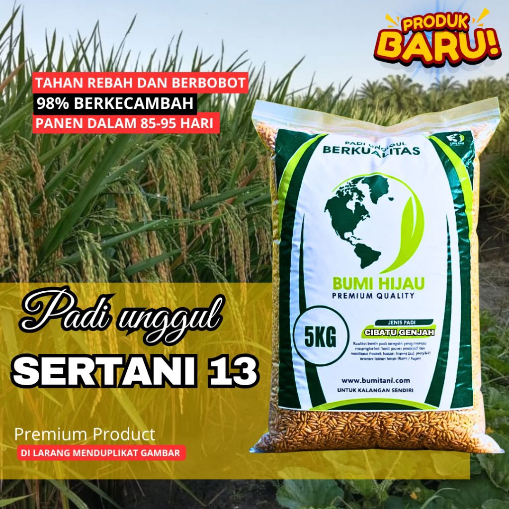 Bibit benih padi unggul sertani 13 5kg