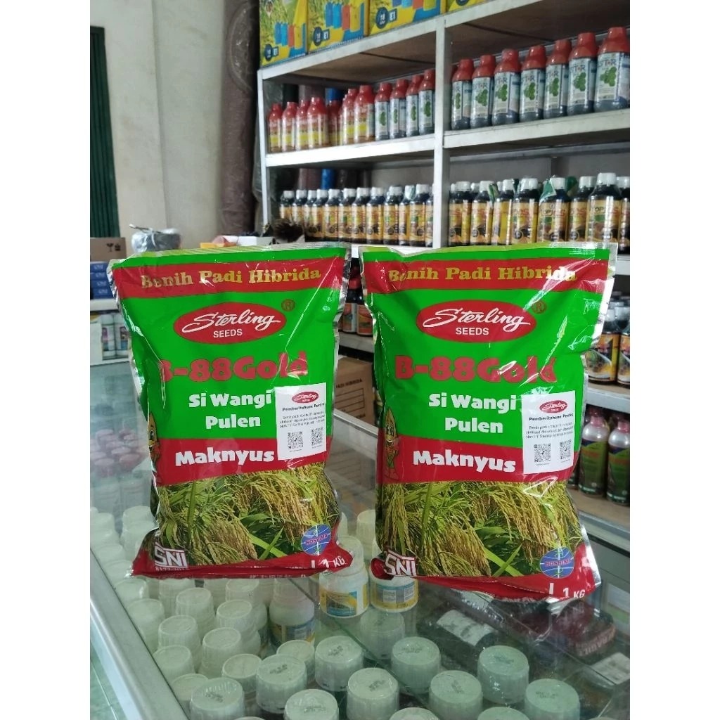 PROMO  Benih padi Hibrida B-88Gold wangi pulen dari sterling
