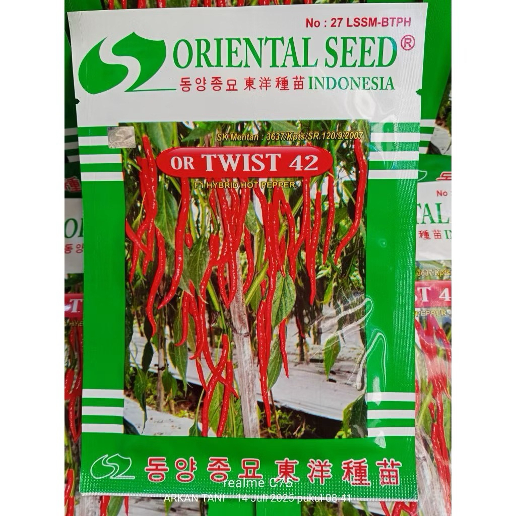 Benih Bibit Cabe Keriting OR TWIST 42 F1 10 gram oriental seed