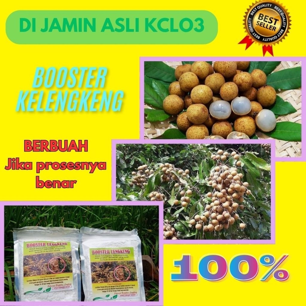 Booster Kelengkeng 1Kg