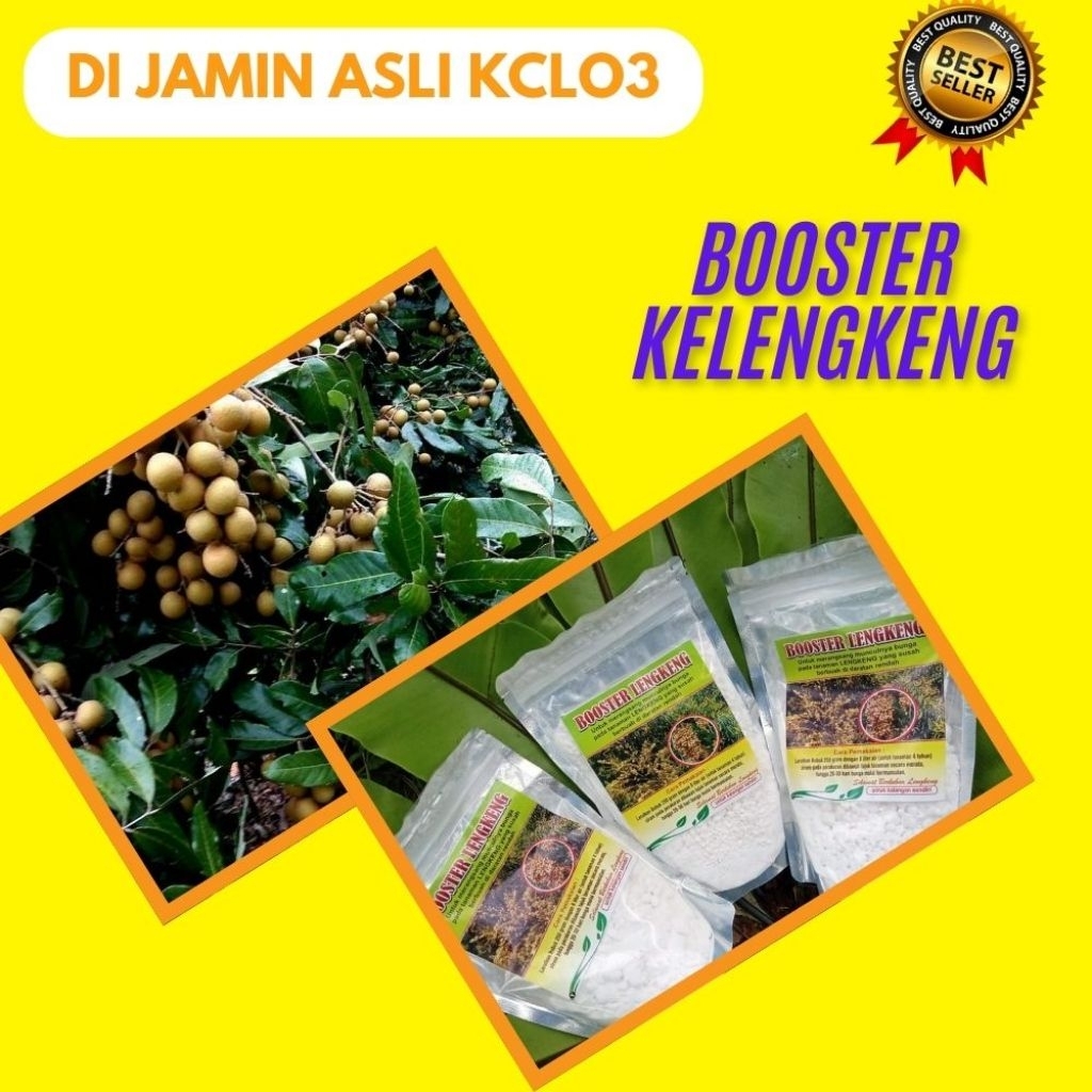 Pupuk Kelengkeng Kclo3