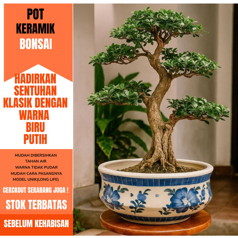 POT KERAMIK BONSAI CANTIK & UNIK