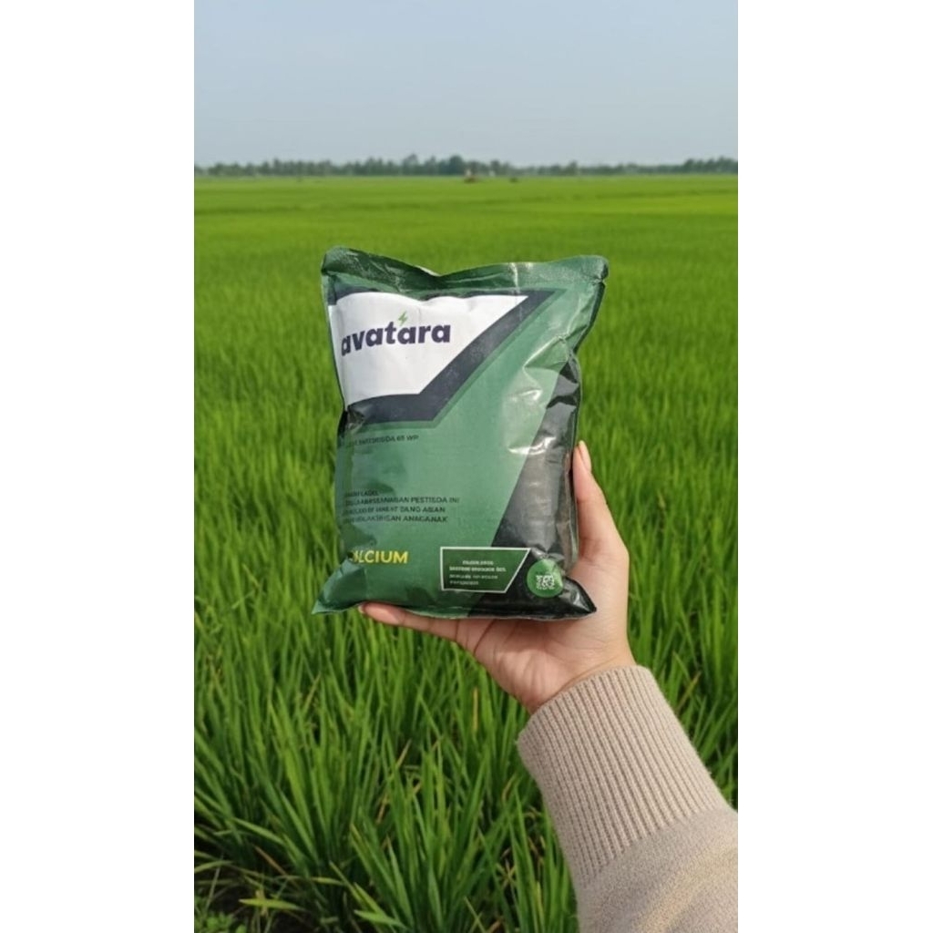 FUNGISIDA BACTERISIDA AVATARA