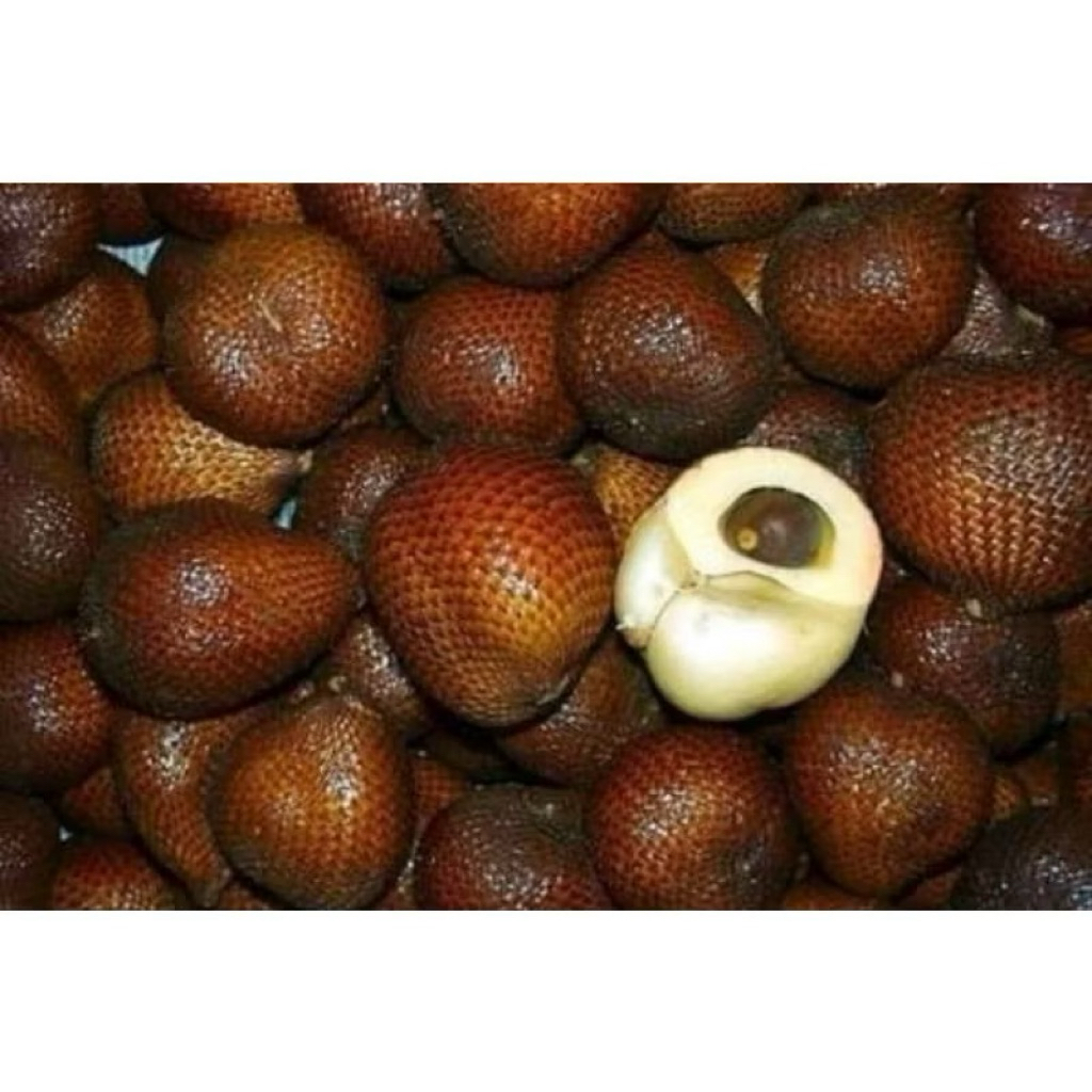 Salak gula pasir bali super Crunchy manis 1 kg