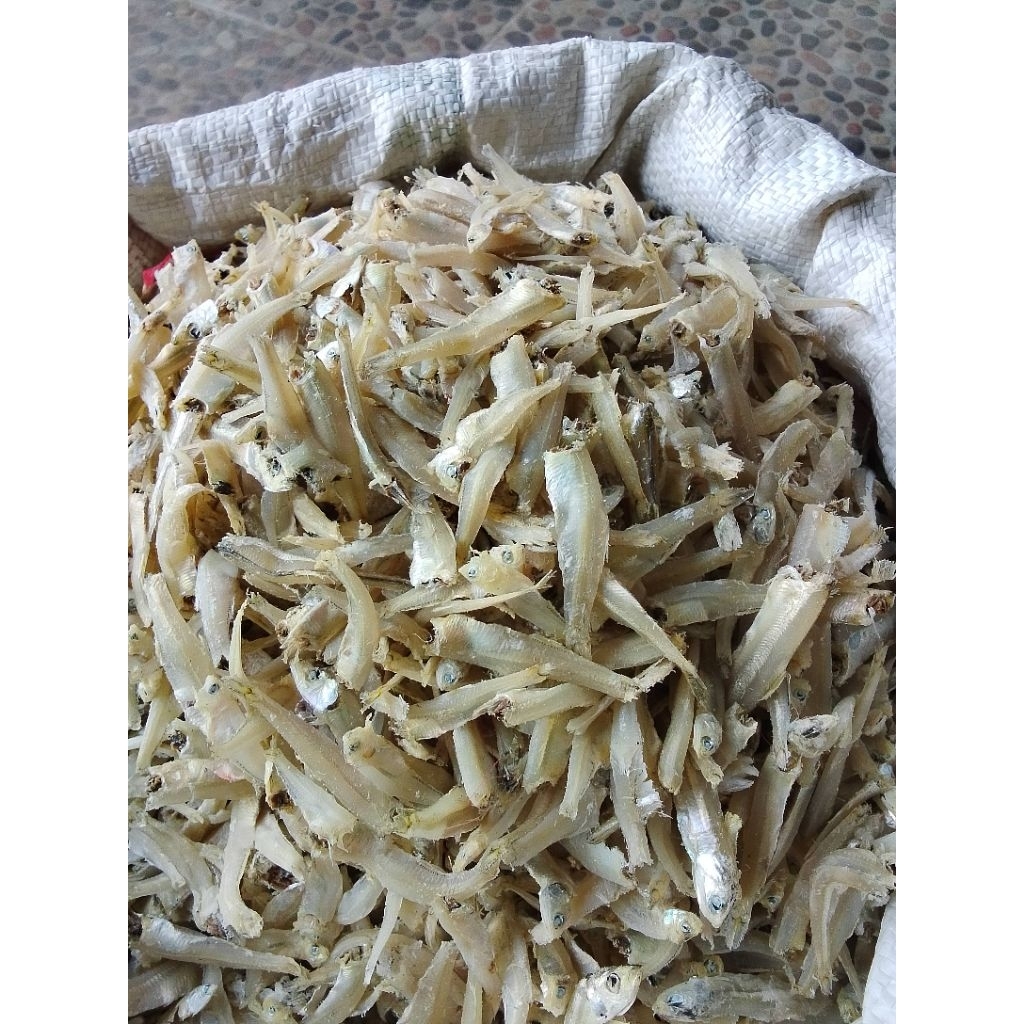 Ikan Teri Pekto/ikan Teri Gepeng khas Medan 250gram