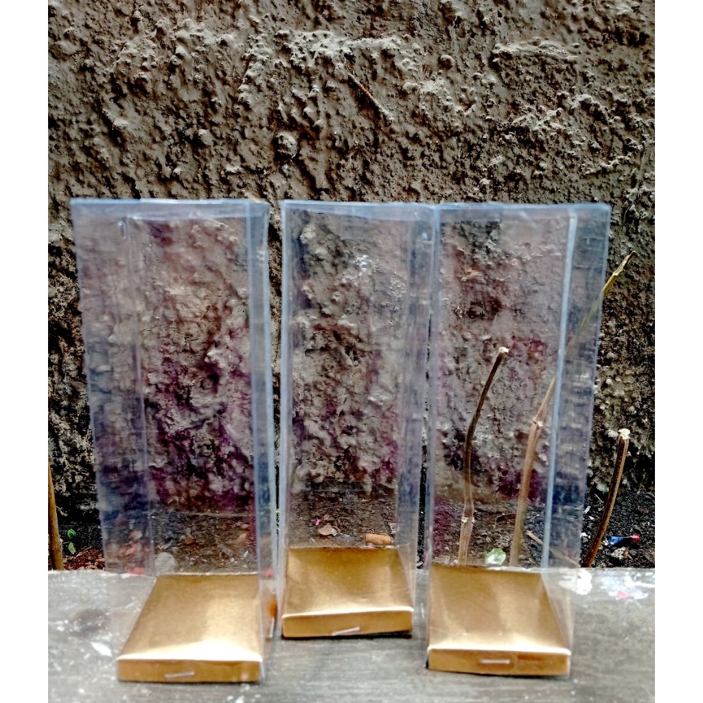 BOX MIKA SOUVENIR/ TEMPAT DUPA ISI 50 DAN 30 TRANSPARAN