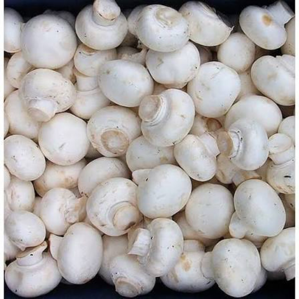 Jamur kancing 1/2 kg fresh
