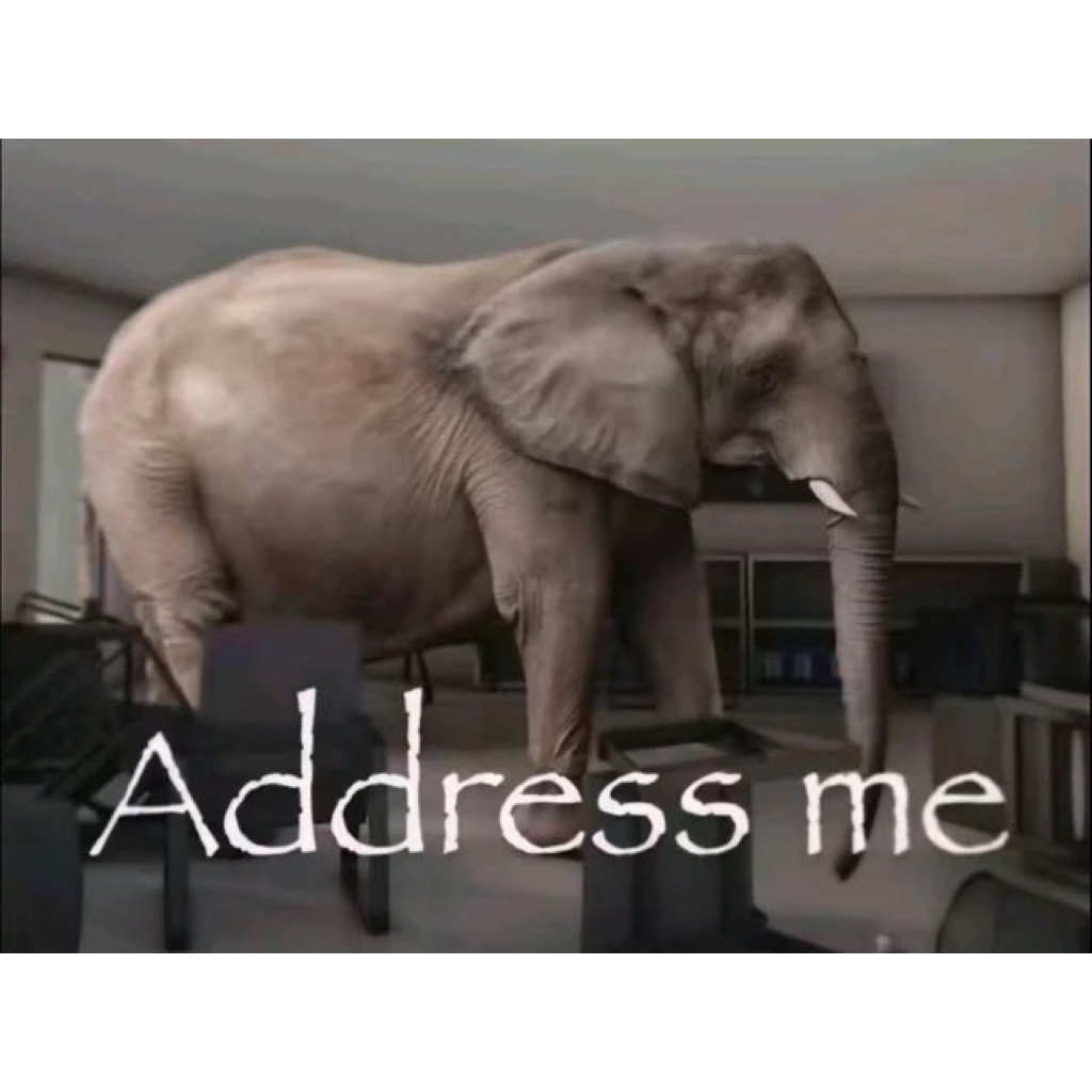 BUNDLE Buku Preloved (Confessions of an Economic Hitman & Catatan Subversif)